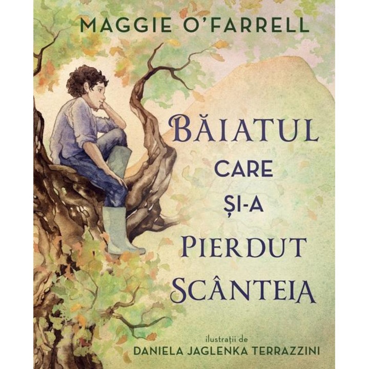 Baiatul care si-a pierdut scanteia, Maggie O'Farrell