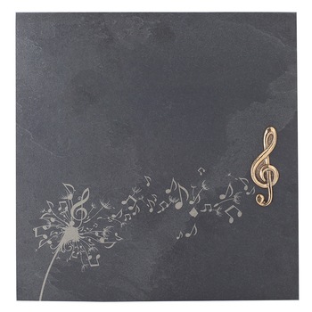 Placheta piatra  Placheta piatra