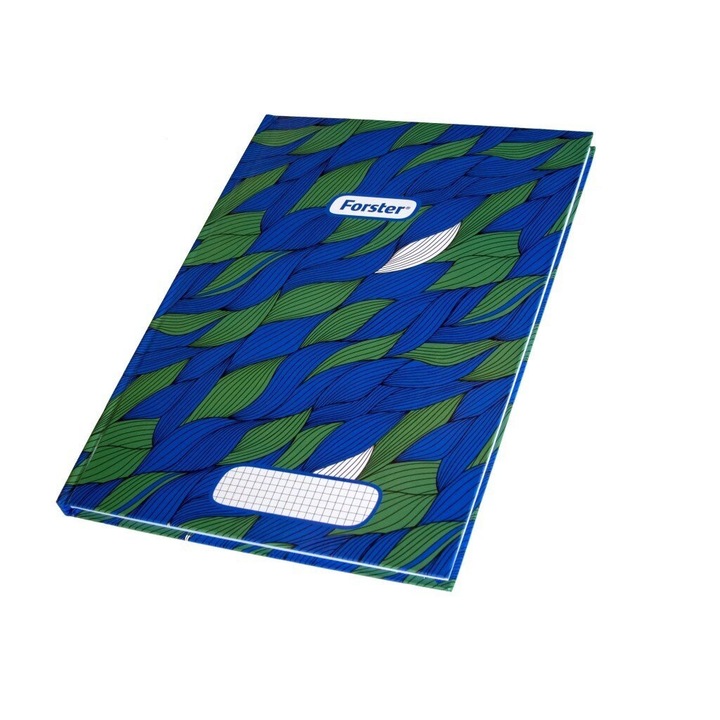 Registru A4 100 file Forster matematica