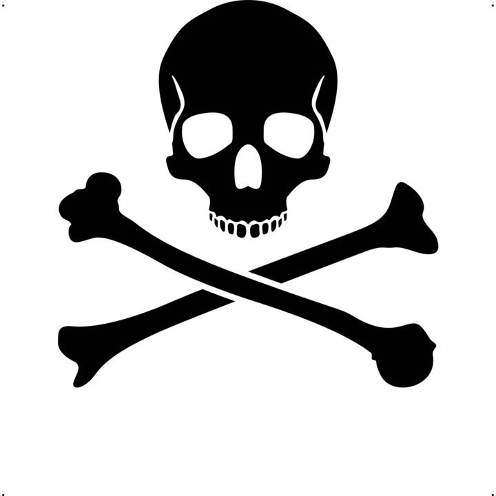 Sticker auto craniu-oase, Cri-Flo, Culoare Negru, Marime 21 cm