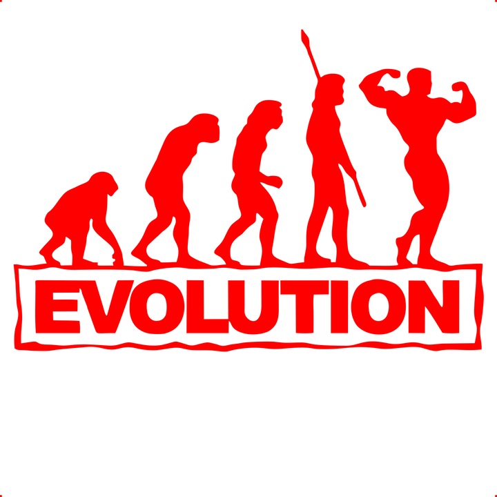 Sticker auto evolution, Cri Flo, Culoare Rosu, Marime 21 cm