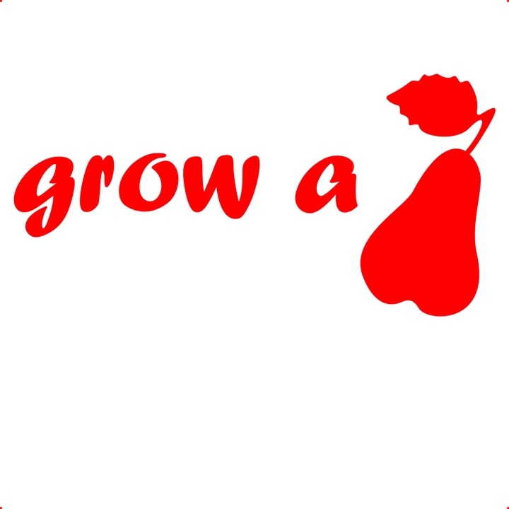 Sticker auto grow a, Cri Flo, Culoare Rosu, Marime 21 cm