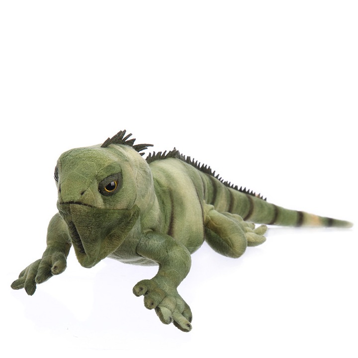 Iguana de plus, W-Web, Verde