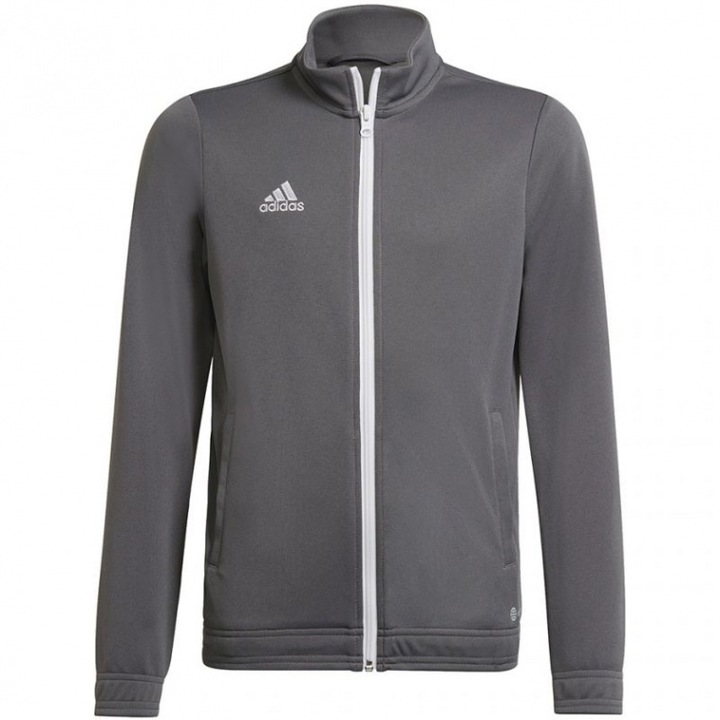 Детски спортен суитшърт Adidas Entrada 22, полиестер, сив, 176 см