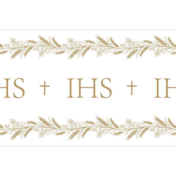 Fata de masa IHS din material netesut, 40x500 cm.