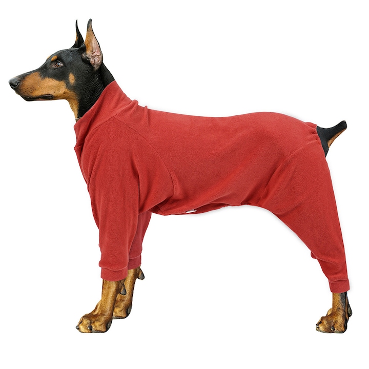 Kutyaruhák, közepes és nagytestű kutyáknak, magas gallérral, polár anyagból, meleg, XS méret