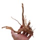 Decoruri acvariu din lemn natural, Fokelyi, set 1pcs, 8-25cm, multicolor