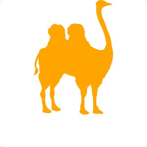 Accesorii auto tuning