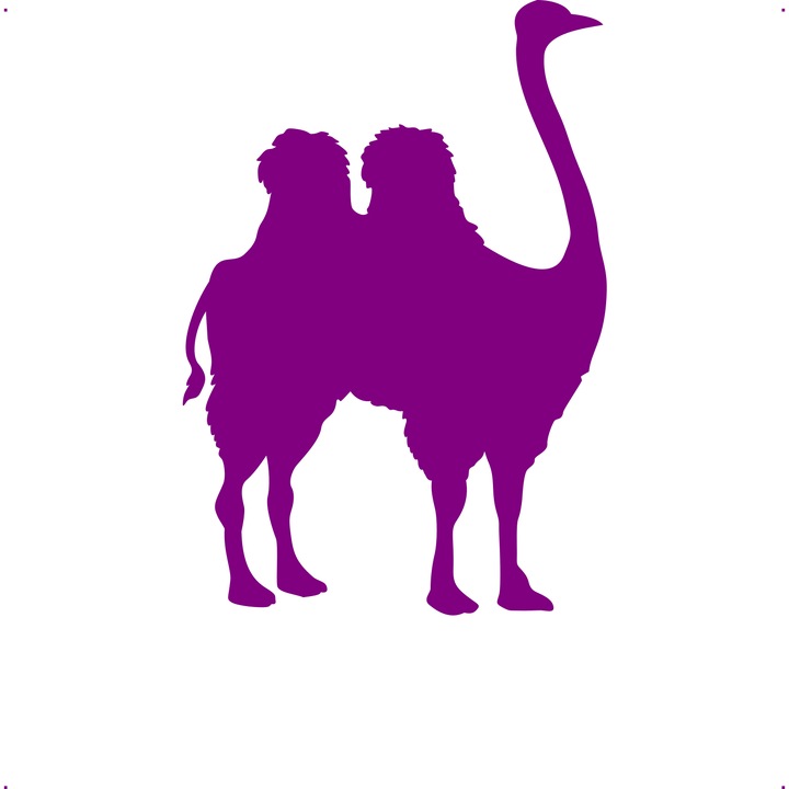 Sticker auto strutocamila, Cri Flo, Rezistent la apa, Culoare Mov, Marime 21 cm