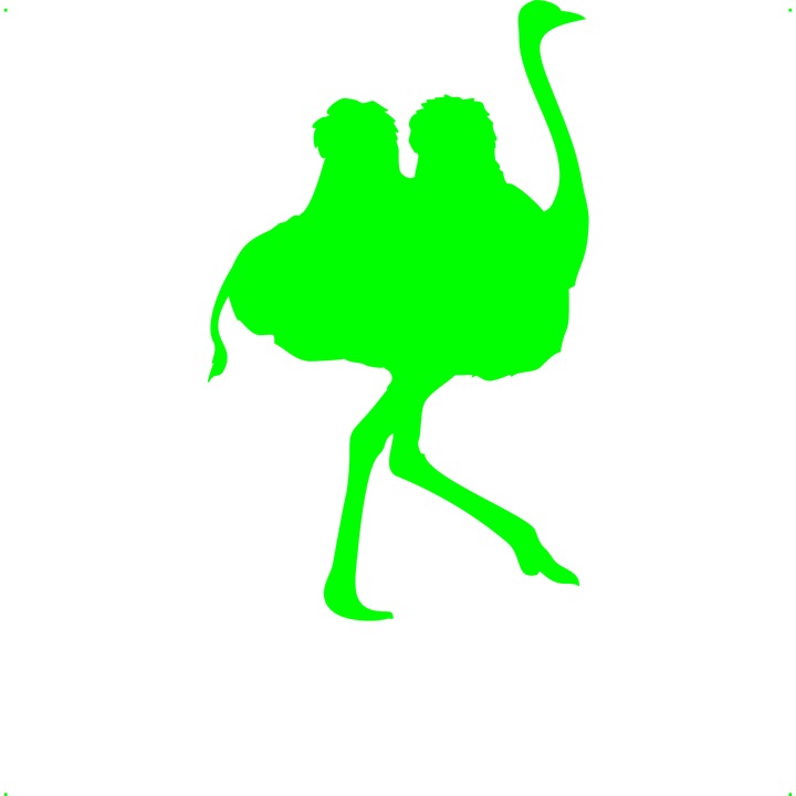 Sticker auto strutocamila v2, Cri Flo, Rezistent la apa, Culoare Verde, Marime 21 cm