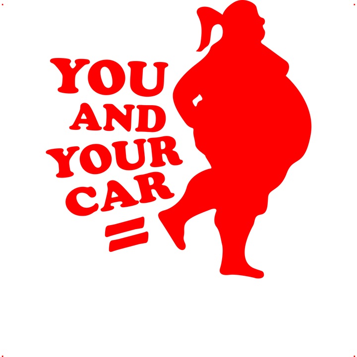 Sticker auto you and your car, Cri Flo, Rezistent la apa, Culoare Rosu, Marime 21 cm