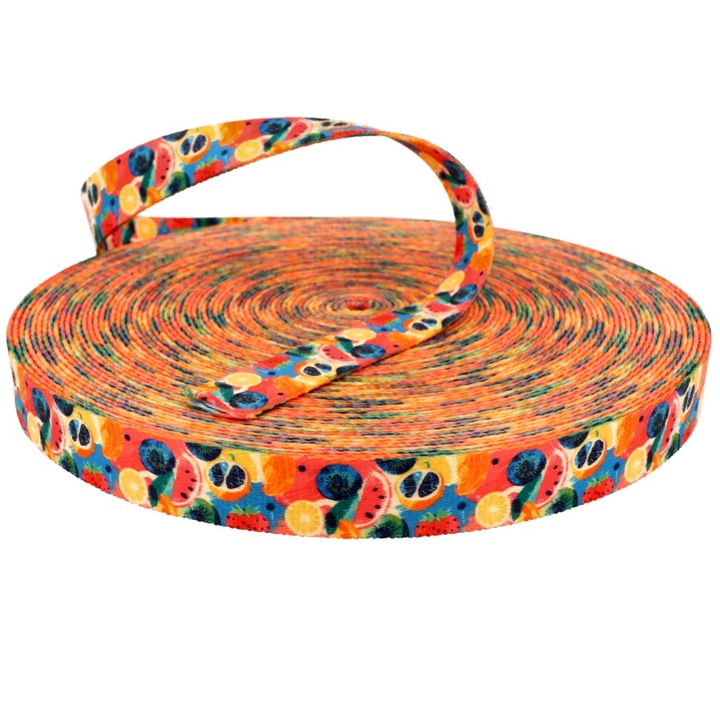 Banda de transport/ridicat Kacperek 25mm, design FRUITS, 10 metri, poliester, multicolor