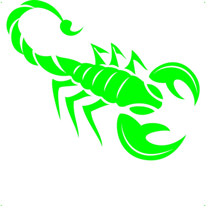 Sticker auto scorpion v2, Cri Flo, Rezistent la apa, Culoare Verde, Marime 21 cm