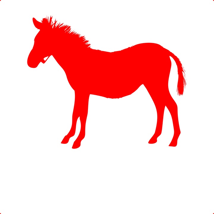 Sticker auto magar, Cri Flo, Rezistent la apa, Culoare Rosu, Marime 21 cm