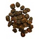 Set Seminte Bananier Abisinian Ensete Ventricosum, 50 Seminte, Crestere Rapida, Soare Plin, Multicolor