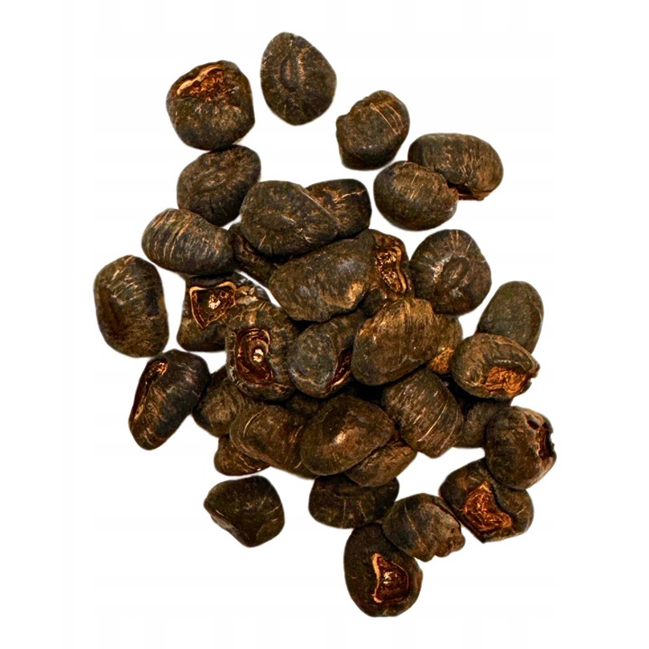Set Seminte Bananier Abisinian Ensete Ventricosum, 50 Seminte, Crestere Rapida, Soare Plin, Multicolor