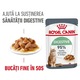 Hrana umeda pentru pisici Royal Canin, Digestive Care, in sos, 12x85g