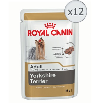 Hrana umeda pentru caini Royal Canin, Yorkshire, Adult, 12x85g Hrana umeda pentru caini Royal Canin, Yorkshire, Adult, 12x85g