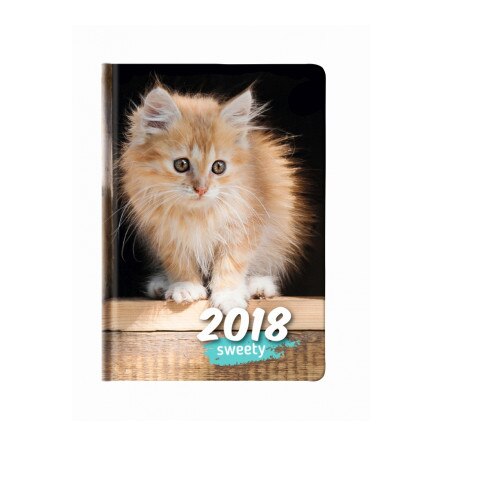 Agenda nedatata Sweety A6, 352 pagini, motiv Kitten