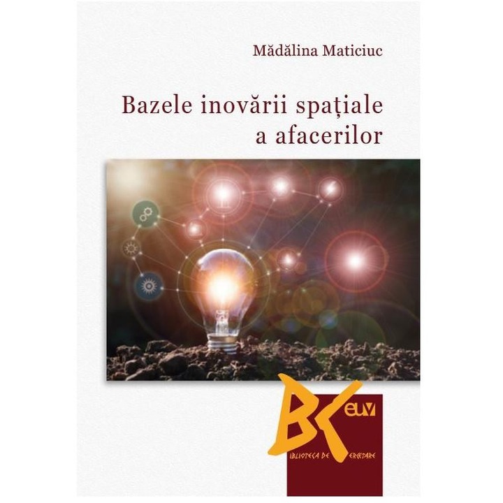 Bazele inovarii spatiale a afacerilor, Madalina Maticiuc