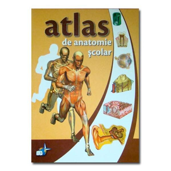 Atlas de anatomie scolar