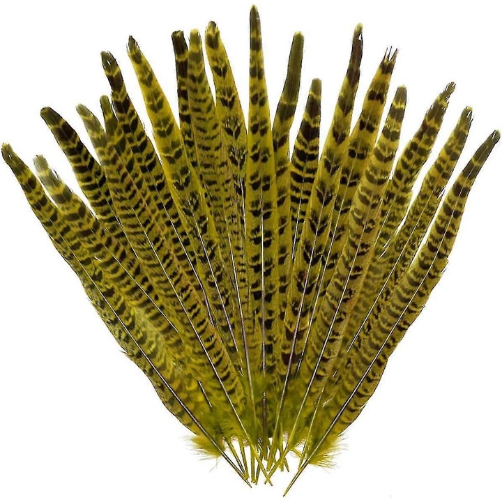 Set 10 pene de fazan 23-27cm, accesorii decorative pentru bijuterii, haine, proiecte DIY, galben