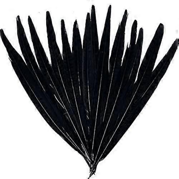Set 10 pene de fazan 23-27cm, accesorii decorative pentru bijuterii, haine, proiecte DIY, negru