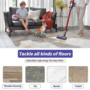 Accesorii si piese aspiratoare