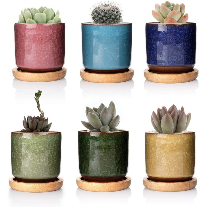 Ghivece ceramice Zisha de 6 cm cu tava din bambus - Pachet de 6, ghiveci pentru cactusi suculenti