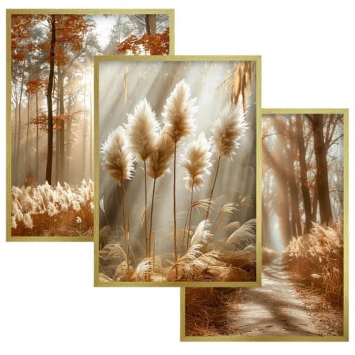 Set tablouri cu rama aurie, Naklejkomania, 30x40cm, design Boho