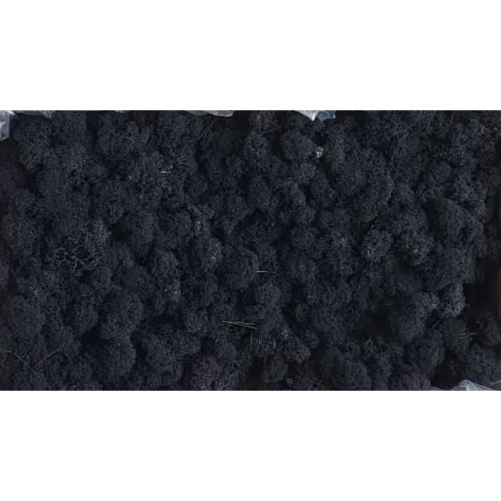Черни полярни лишеи, Polarmoss, 500 г, натурални, декоративни