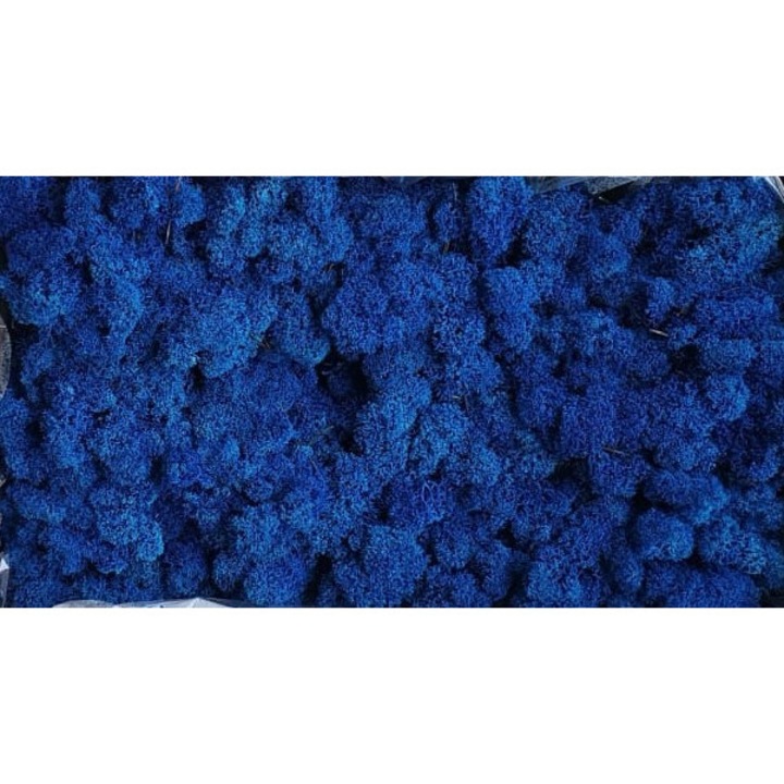 Licheni Marin Polar 250g