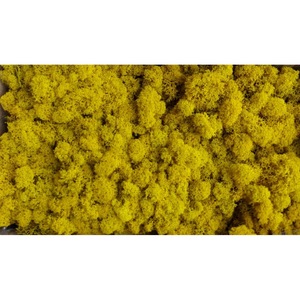 Декоративни аксесоари