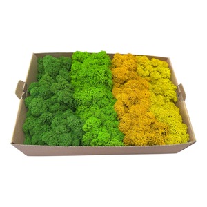 Accesorii decorative