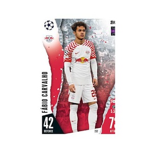 Activitati extracurriculare