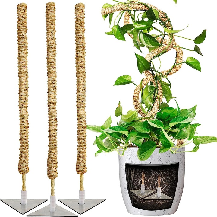 Stalpi ajustabili pentru sprijin plante de casa, set 3x76 cm
