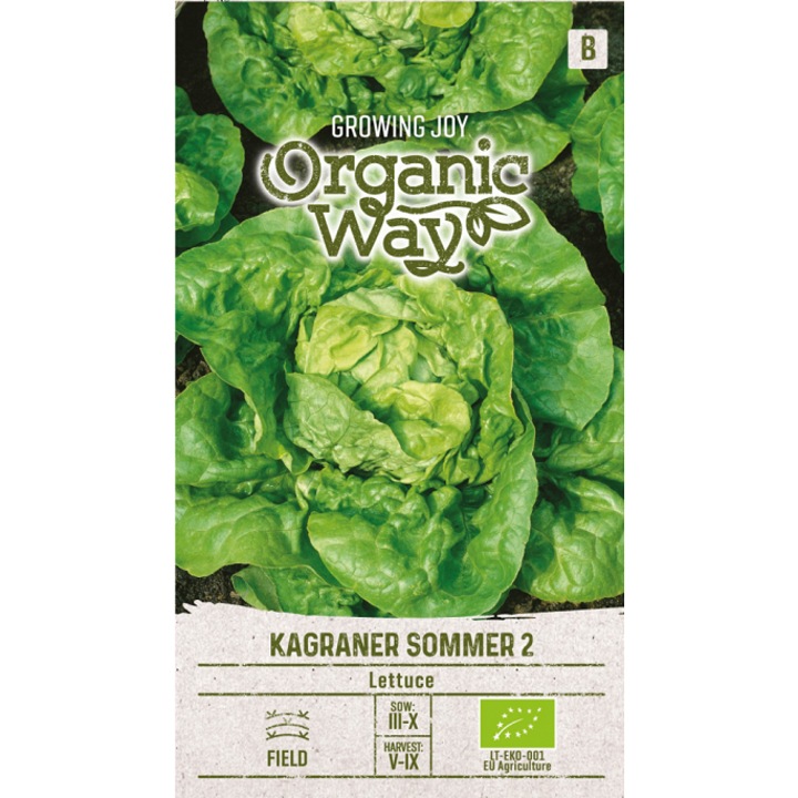 Seminte ecologice, Salata Kagraner Sommer 2, Organic Way, plic, 1 gram