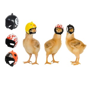Accesorii animale