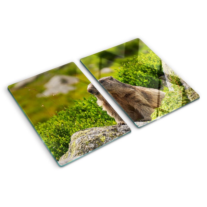 Tocatoare de bucatarie, Tulup, Marmota tatra, Verde, 2x40x52 cm, 010010520020000005649