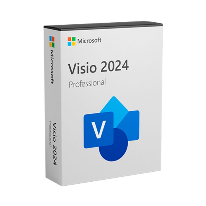 Visio Professional 2024 licenc