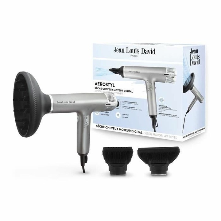 Uscator de par Jean Louis David, Gri/Negru