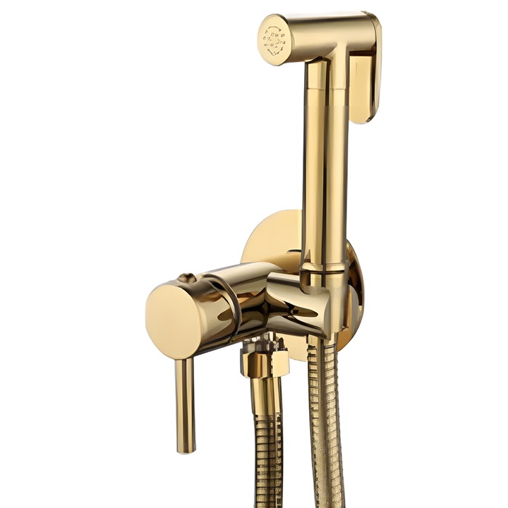 Dus igienic, Auriu, montaj pe perete, alama, Neo