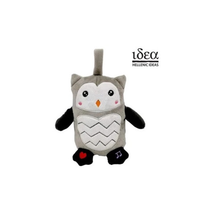 Първата ми сова със звук говори румънски - Идея