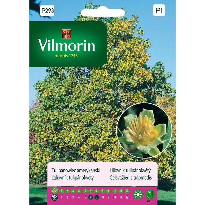 Лирово дърво Vilmorin