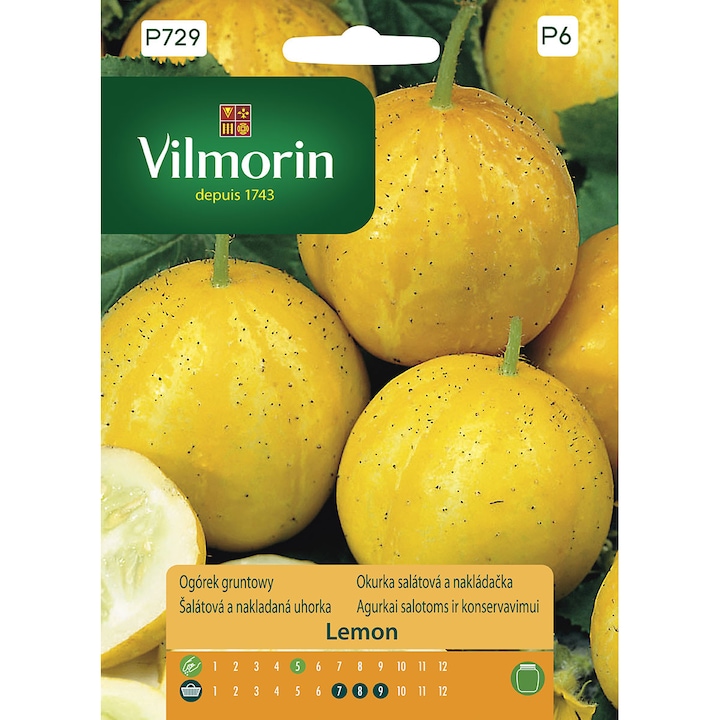 Краставица lemon Vilmorin