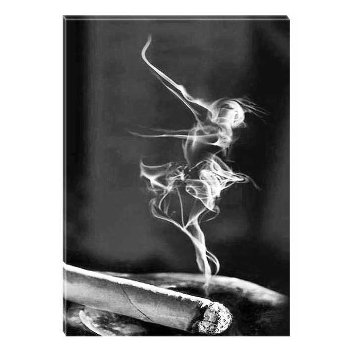 Tablou Alb-Negru Abstract Startonight, Dansator din fum, luminos in intuneric, 60 x 90 cm