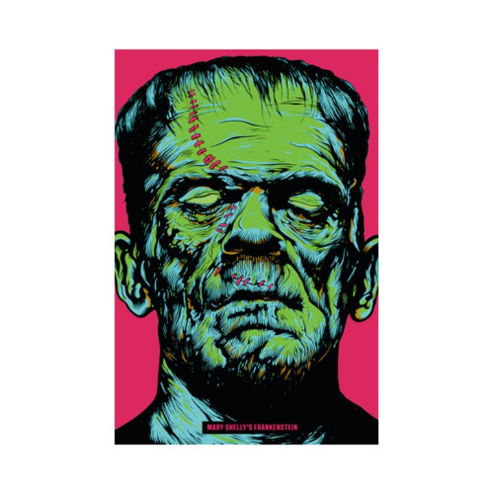 Frankenstein - Mary Shelley 9780593203392