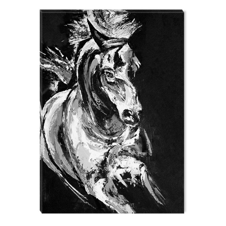 Tablou Alb-Negru Abstract Startonight, Cal, luminos in intuneric, 60 x 90 cm