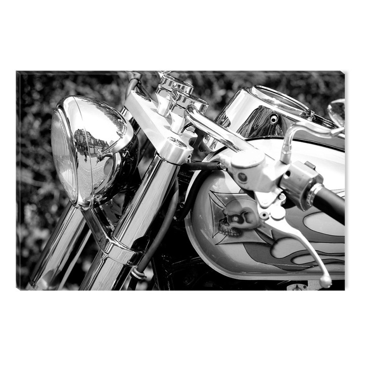 Tablou Alb-Negru Abstract Startonight, Motocicleta argintie, luminos in intuneric, 80 x 120 cm