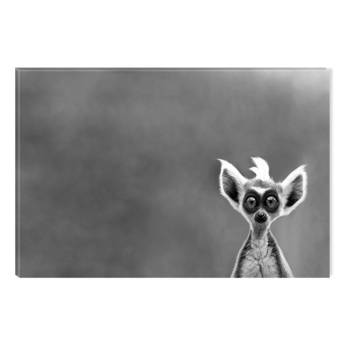 Tablou Alb-Negru Abstract Startonight, Curiozitate, luminos in intuneric, 80 x 120 cm